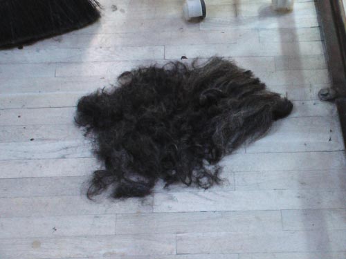 Marios hair donated for the oil spill Marios hair donation for the oil spill